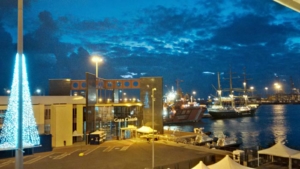 IMG 20161219 071711 hdr