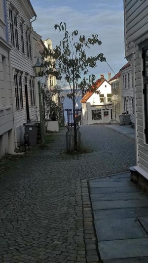 DSC 0190