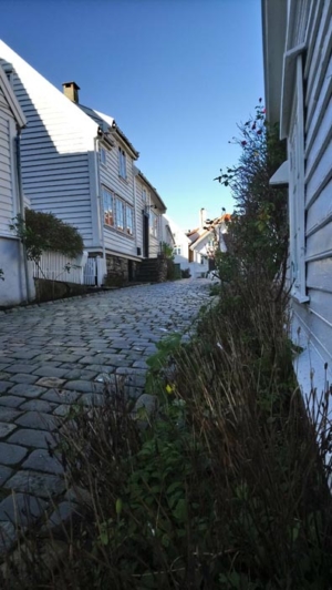 DSC 0286