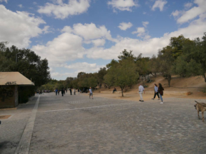 Athen-08