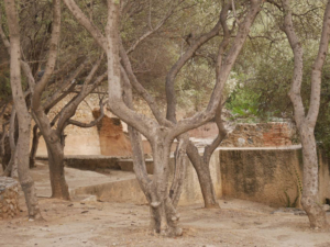 Athen-09