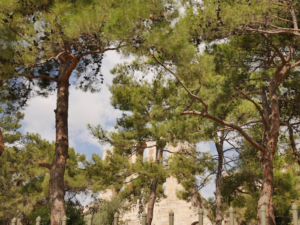 Athen-13
