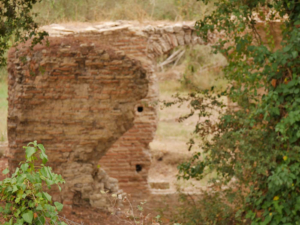 Olympia-14