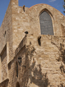Rhodos-32