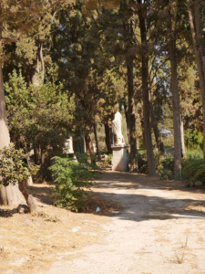 Rhodos-56