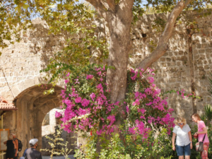 Rhodos-60