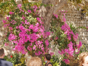 Rhodos-61